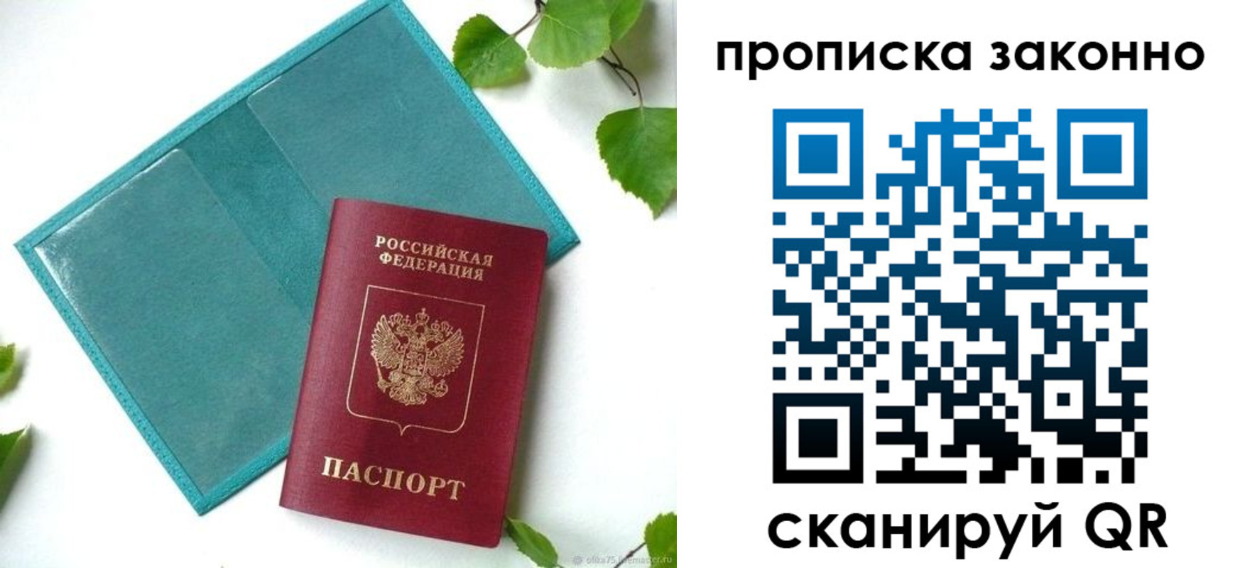 прописка штамп в Оленегорске